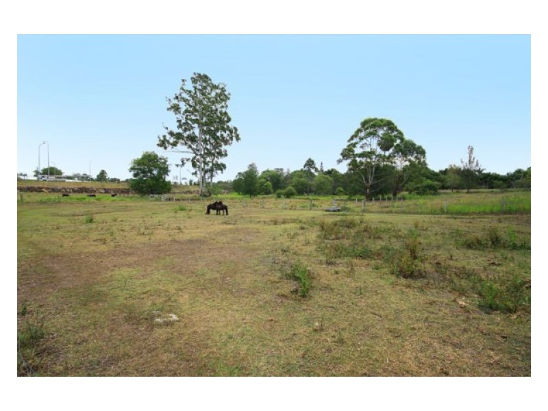 1 Vyner Court, Forest Glen QLD 4556
