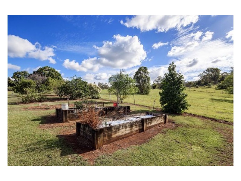 53 Simba Road, West Woombye QLD 4559