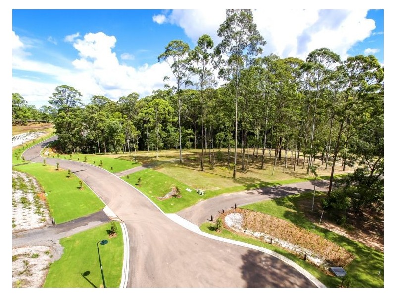 Lot 13 Fernhill Place, Diddillibah QLD 4559