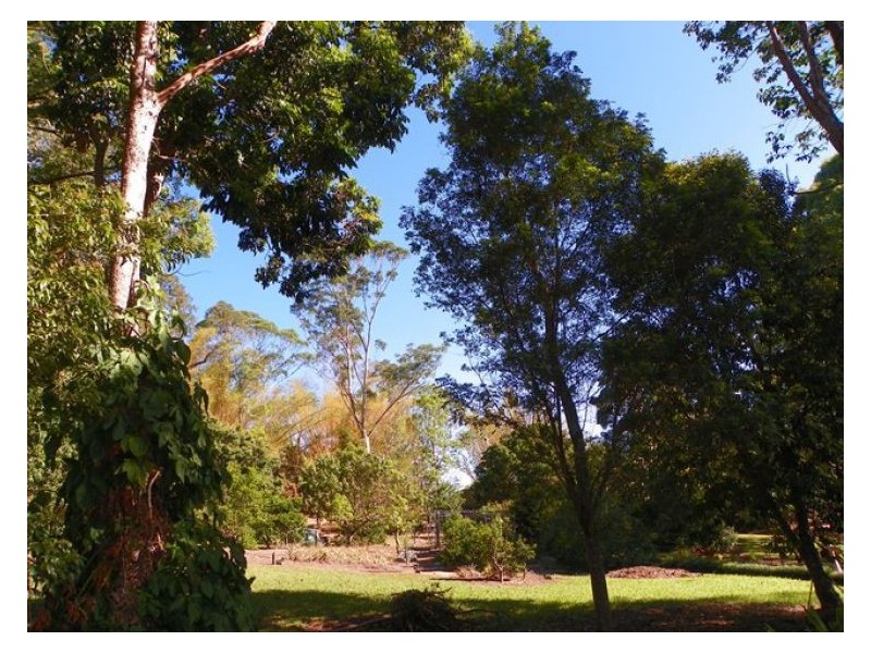 56 Pringle Road, Rosemount QLD 4560