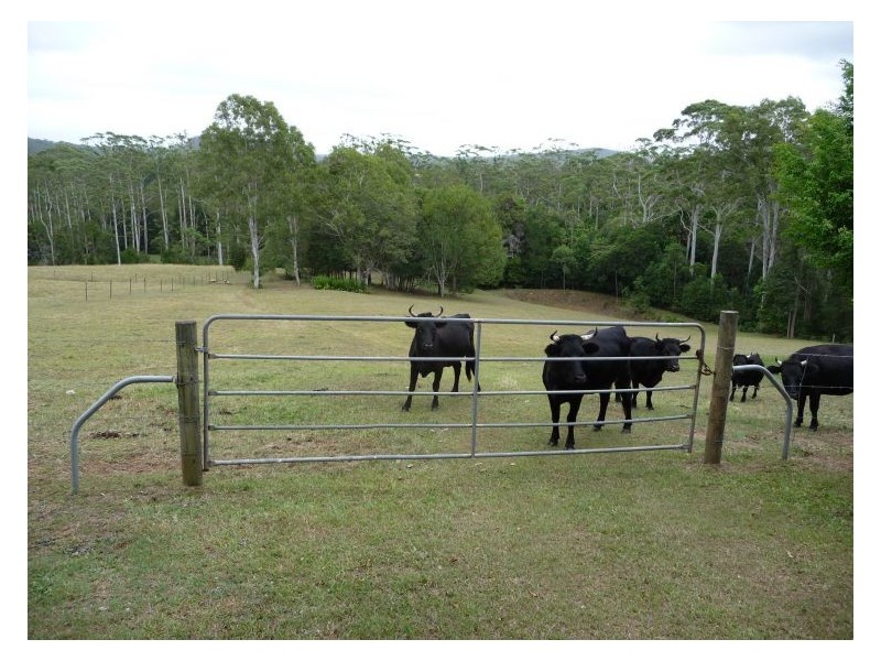 130 Sheahans Road, Yandina QLD 4561