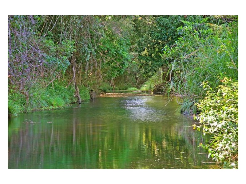 384-398 Blackall Range Road, West Woombye QLD 4559