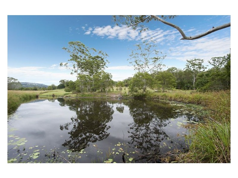 88 Eudlo Road, Mooloolah Valley QLD 4553