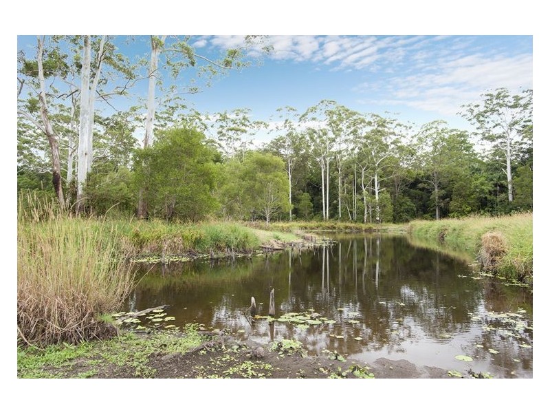 88 Eudlo Road, Mooloolah Valley QLD 4553