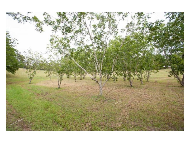 88 Eudlo Road, Mooloolah Valley QLD 4553