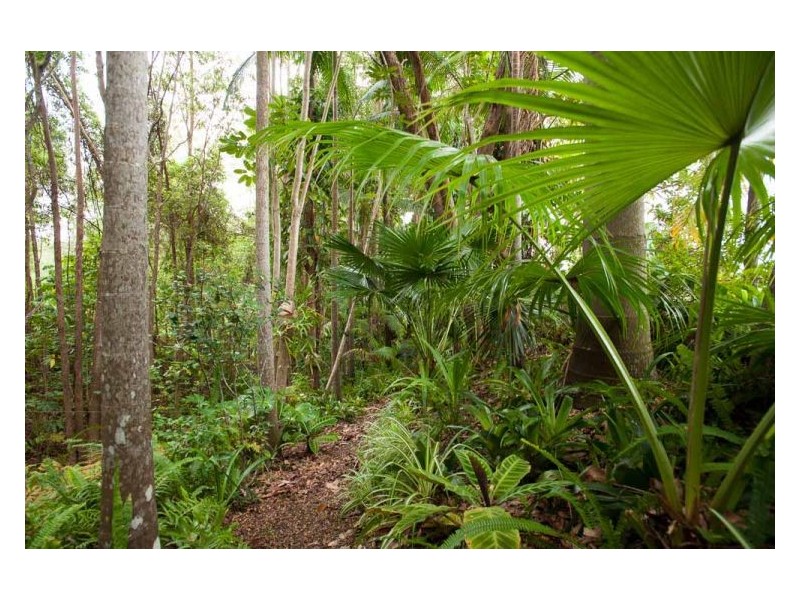 88 Eudlo Road, Mooloolah Valley QLD 4553