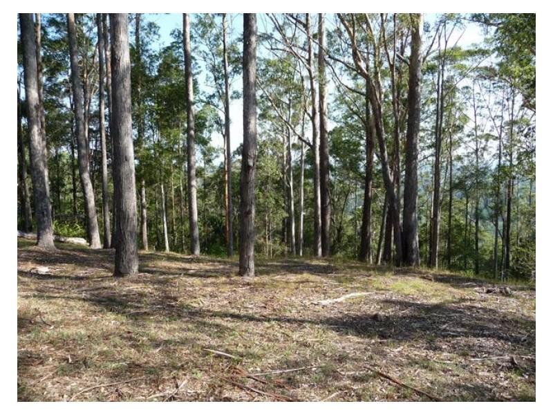 28 Meher Road, Kiels Mountain QLD 4559