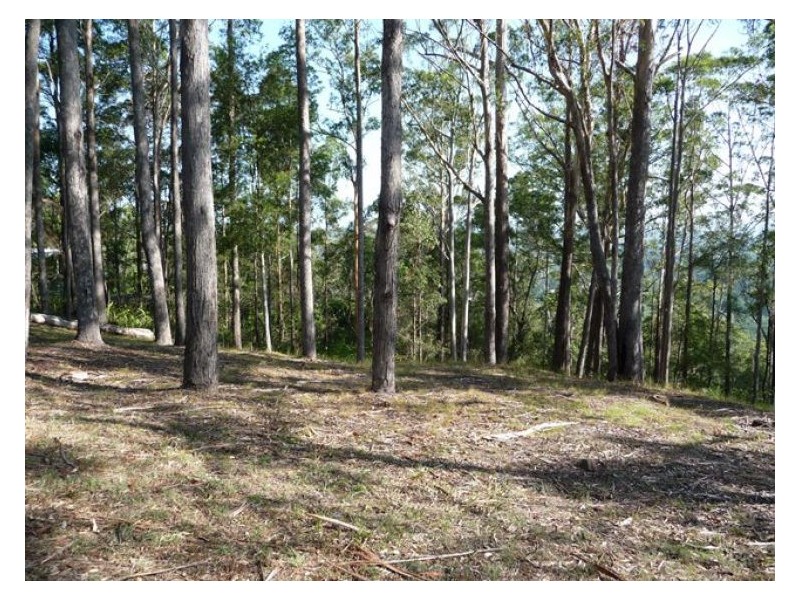 28 Meher Road, Kiels Mountain QLD 4559