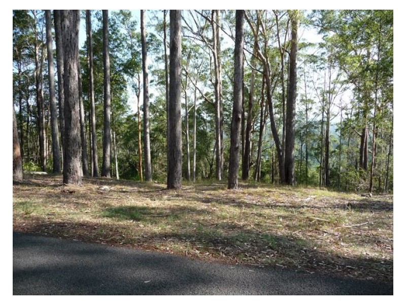 28 Meher Road, Kiels Mountain QLD 4559