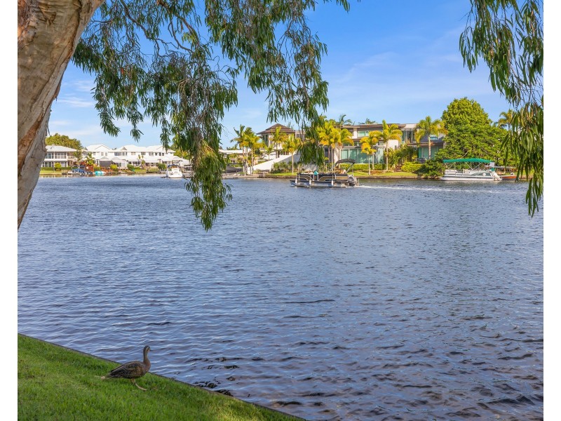 21/67 Gibson Road, Noosaville QLD 4566