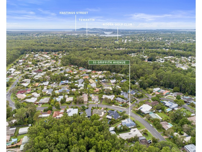53 Griffith Avenue, Tewantin QLD 4565