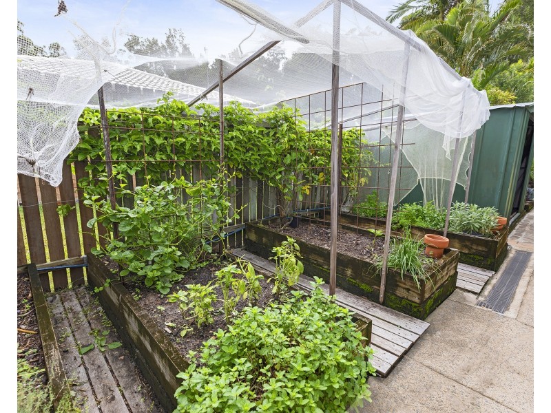 53 Griffith Avenue, Tewantin QLD 4565