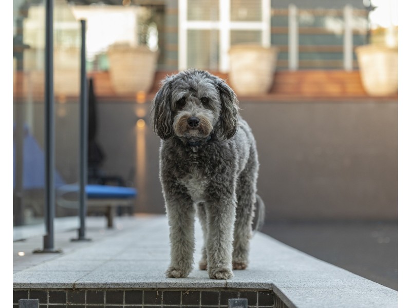 14 Adams Street, Sunshine Beach QLD 4567