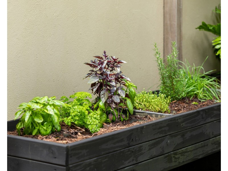 2/14 Weyba Street, Sunshine Beach QLD 4567