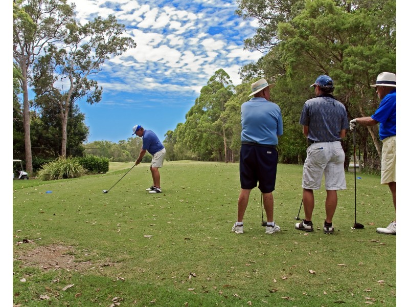 29 Tinaroo Place, Tewantin QLD 4565