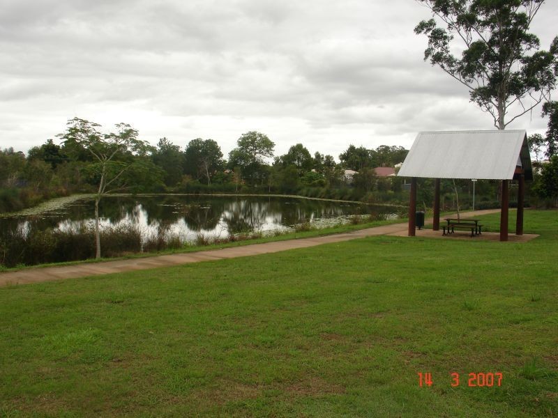 51 Petigrain Ave, Palmwoods QLD 4555