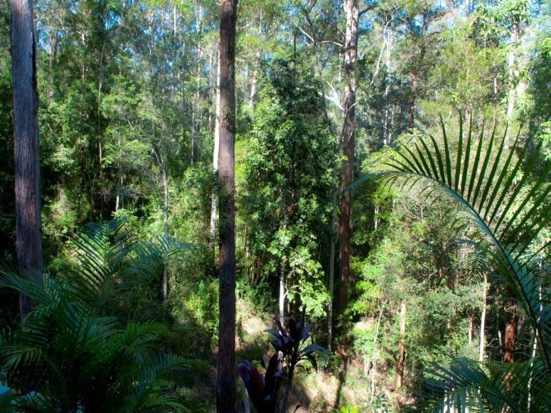 70 Ferny Glen Road, Mons QLD 4556