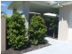 2/9 Boobook Court, Buderim QLD 4556