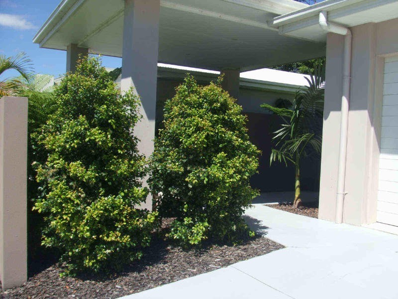 2/9 Boobook Court, Buderim QLD 4556