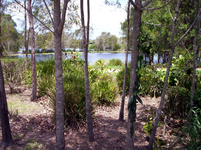 10 Albany St, Sippy Downs QLD 4556