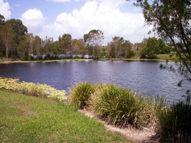 10 Albany St, Sippy Downs QLD 4556