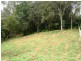 21 Ringtail Place, Bli Bli QLD 4560