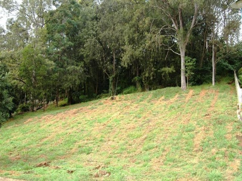 21 Ringtail Place, Bli Bli QLD 4560