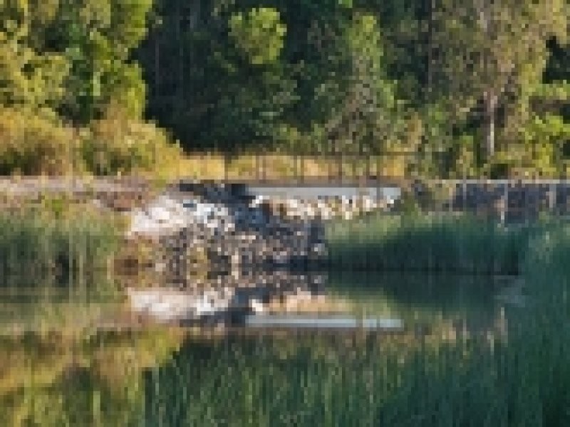 21 Ringtail Place, Bli Bli QLD 4560