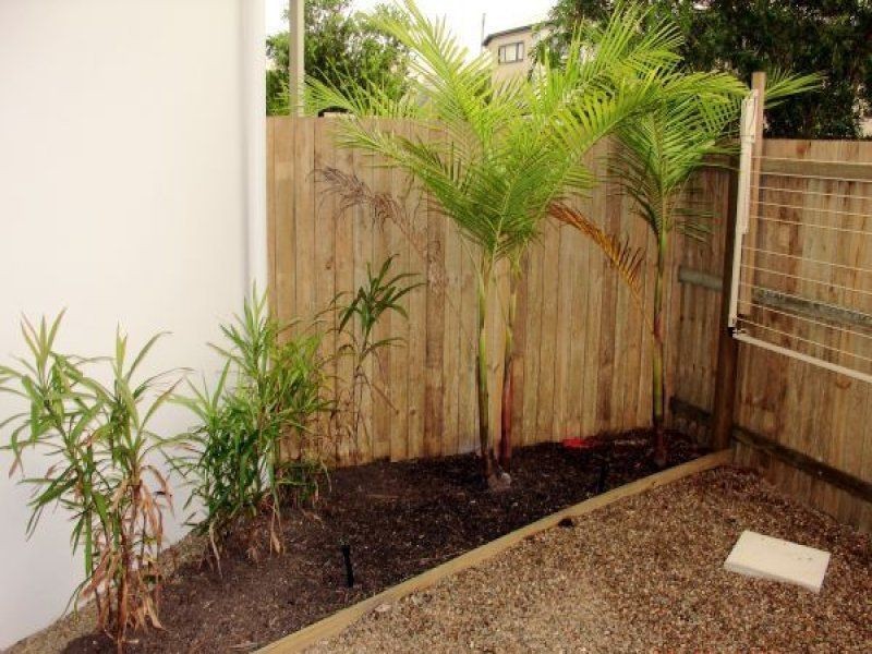 8/49 Dalton Drive, Maroochydore QLD 4558