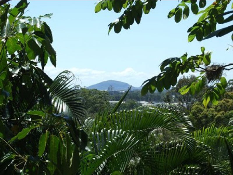 23 Wagtail Pl, Buderim QLD 4556
