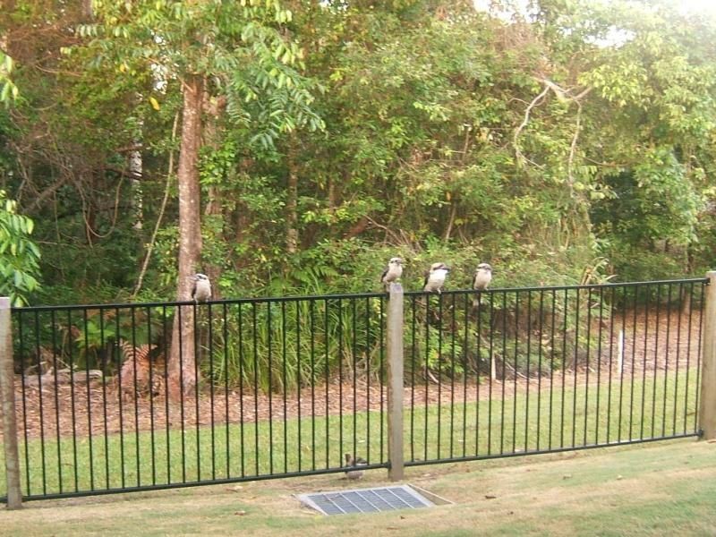 2 Flame Tree Crt, Palmwoods QLD 4555