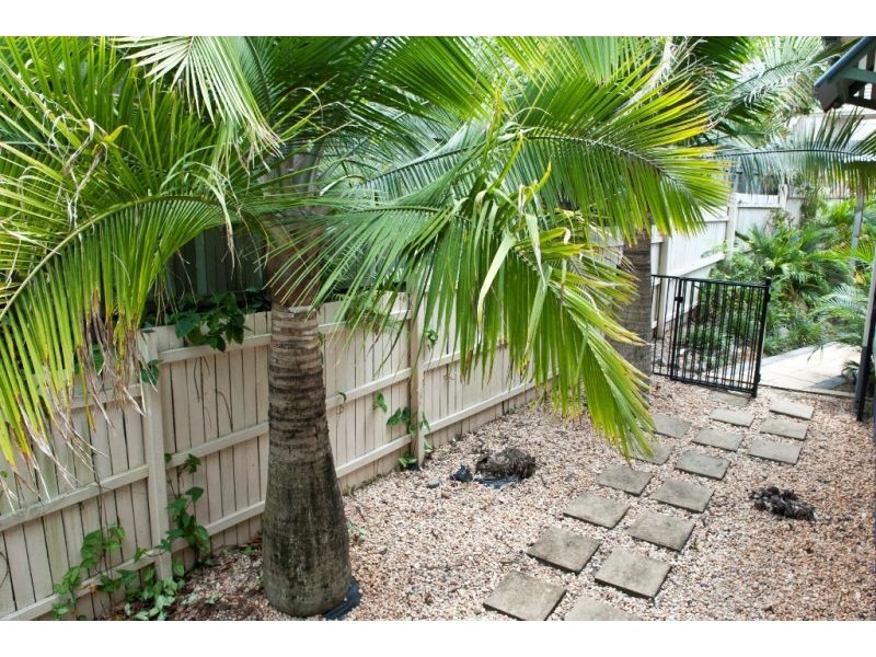 1 Treefern Crt, Buderim QLD 4556