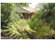 6 DAYDREAM DRIVE, Clinton QLD 4680