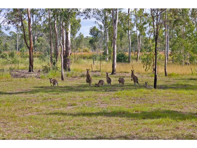 14 Saggitarius Street, River Ranch QLD 4680