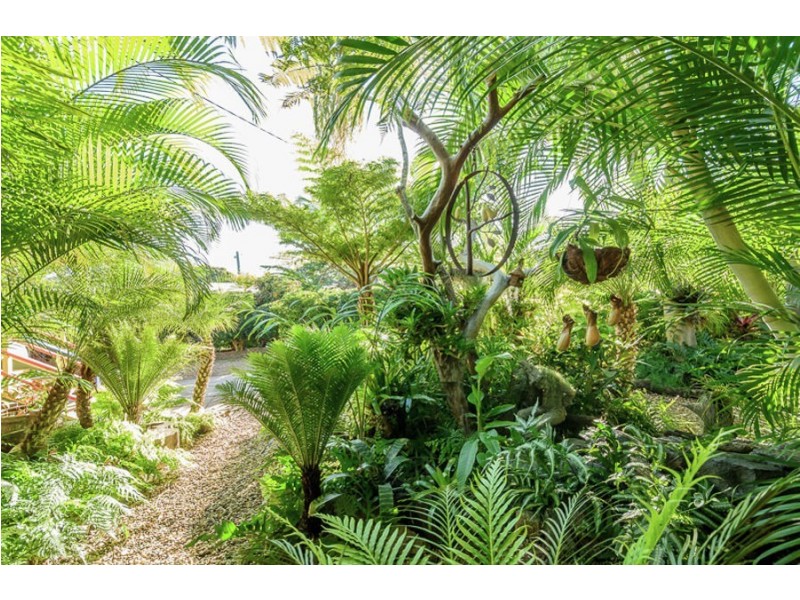 3 Harvey Street, West Gladstone QLD 4680