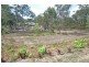 50 Dedekind Avenue, Benaraby QLD 4680