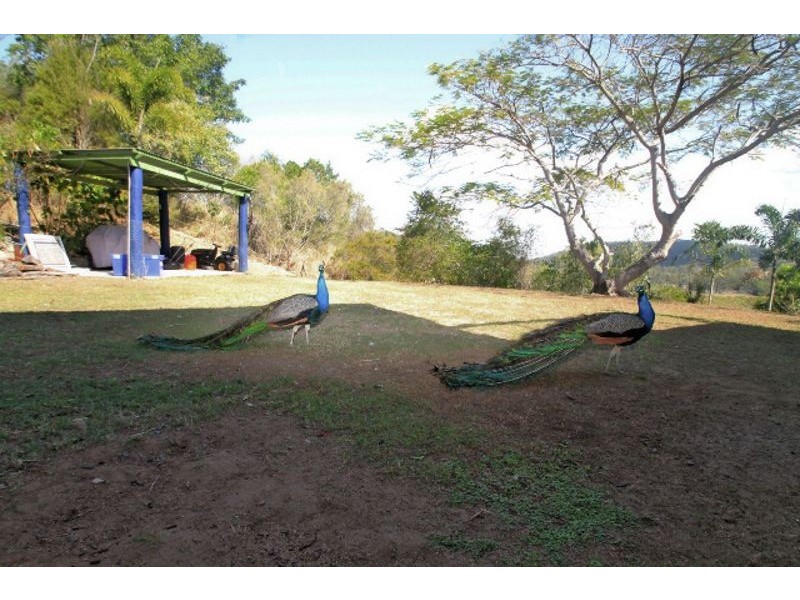 390 Spring Valley Road, West Stowe QLD 4680