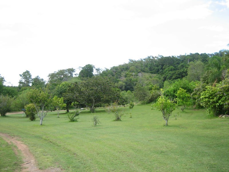 390 Spring Valley Road, West Stowe QLD 4680