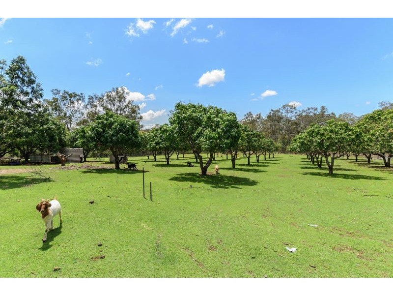 158 Schulze Road, Beecher QLD 4680
