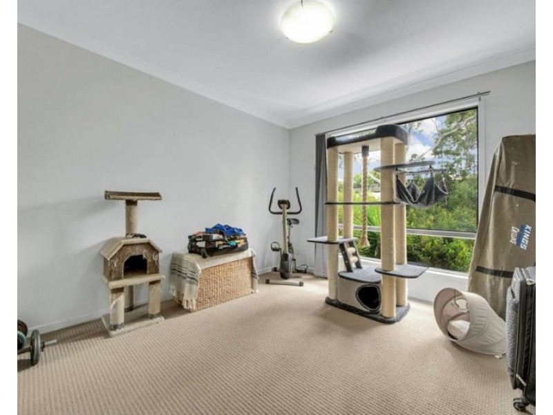 31/2 Ringuet Close, Glen Eden QLD 4680