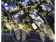 6 Kerfoot Close, Tannum Sands QLD 4680
