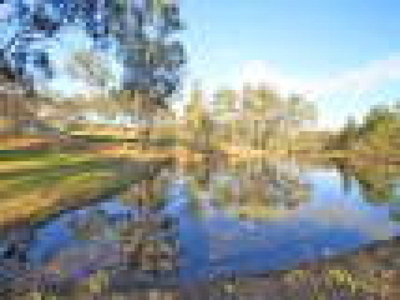 6 Wyndham Road, Beecher QLD 4680