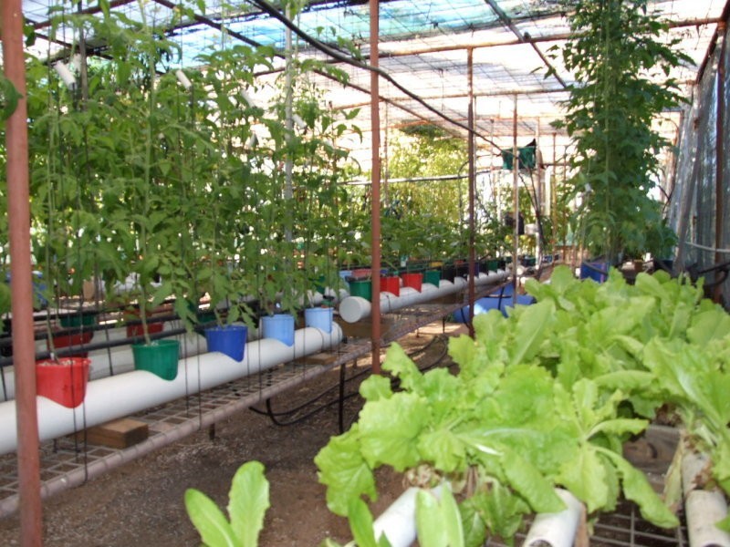 71 Yalkarra Crescent, Wurdong Heights QLD 4680