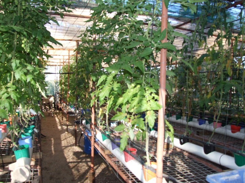 71 Yalkarra Crescent, Wurdong Heights QLD 4680