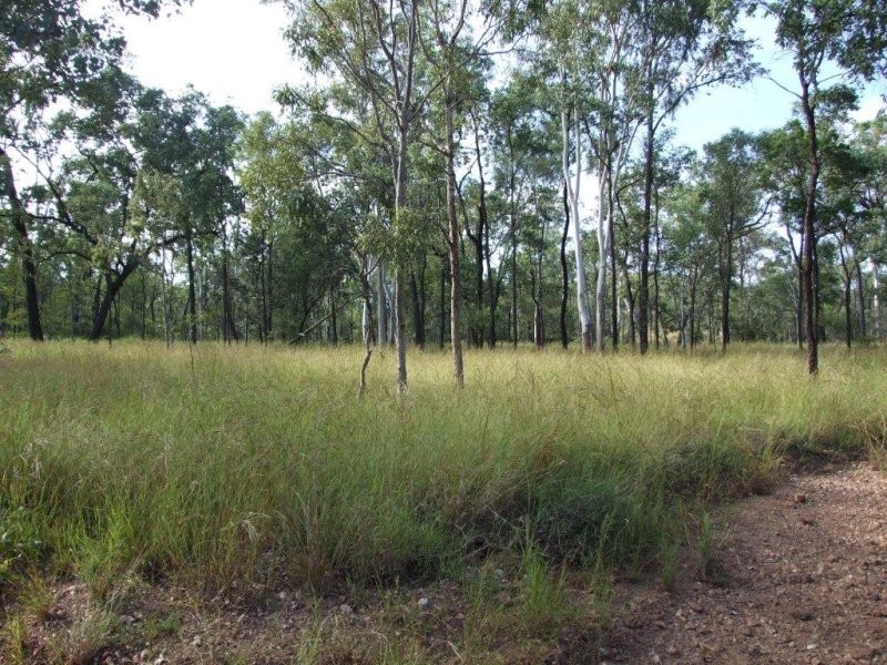 6 Hillview Road, Clermont QLD 4721