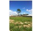 14 Stockbridge Court, Calliope QLD 4680