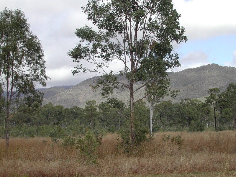 391 Dalgleish Road, Bororen QLD 4678