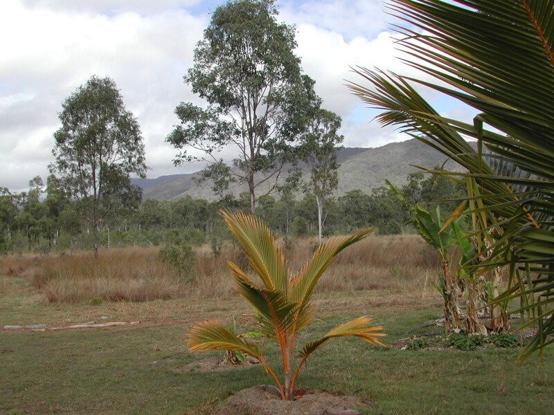 391 Dalgleish Road, Bororen QLD 4678