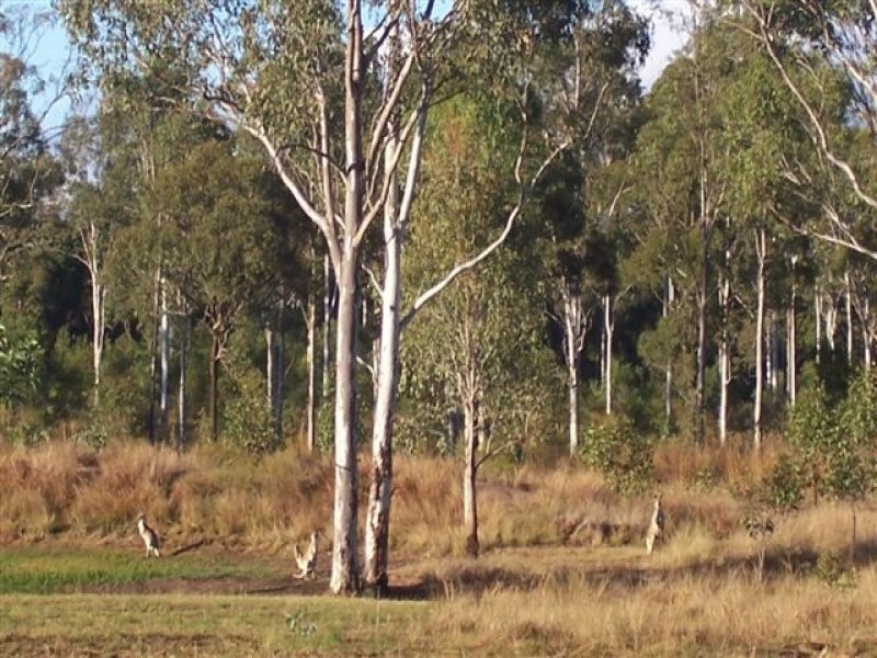 391 Dalgleish Road, Bororen QLD 4678