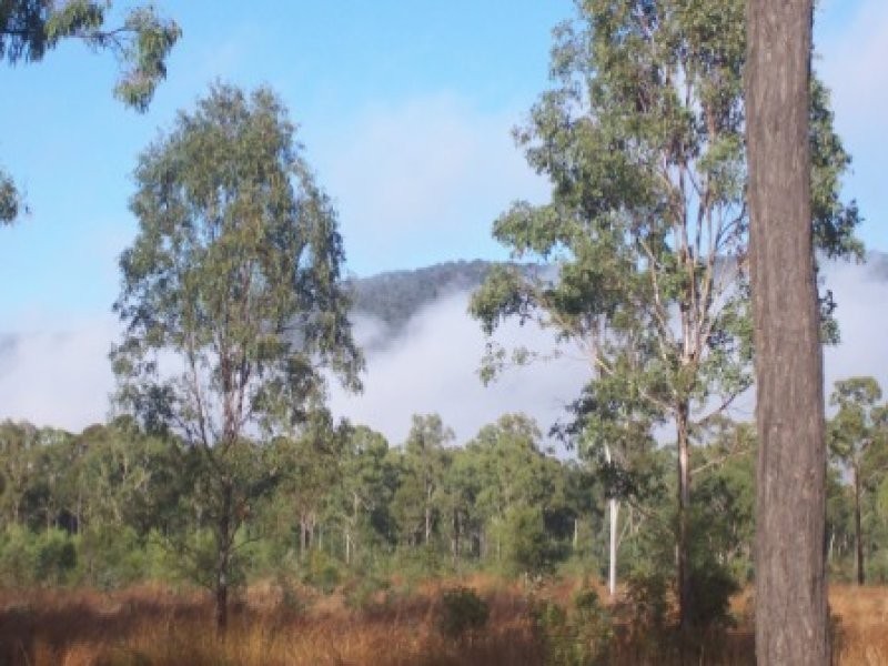 391 Dalgleish Road, Bororen QLD 4678